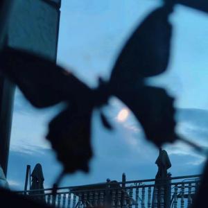 公园被动物舔逼畜人性交
